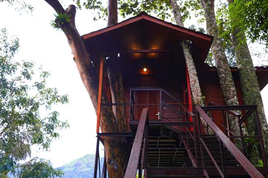 cottages in munnar