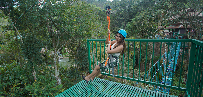 Zip Line Adventure